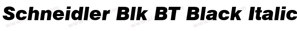 Schneidler Blk BT Black Italic字体转换